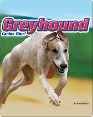 Greyhound: Canine Blur!