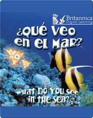 ¿Qué veo en el mar? (What Do You See, in the Sea?)