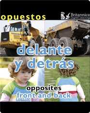 Opuestos: Delante y detrás (Opposites: Front and Back)