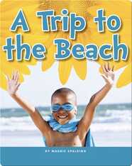 A Trip to the Beach