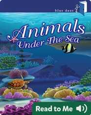 Animals Under The Sea