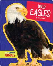 Bald Eagles