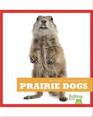 Prairie Dogs