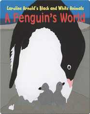 A Penguin's World