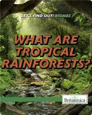 What Are Tropical Rainforests?