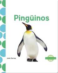 Pingüinos