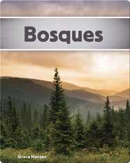 Bosques