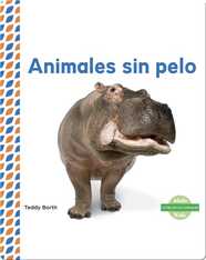 Animales sin pelo