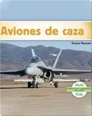 Aviones de caza