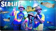 Sea Animals for Kids: Exploring the ANIMALS at the Sea Life Aquarium!