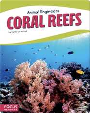 Animal Engineers: Coral Reefs