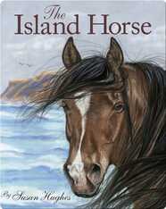 The Island Horse
