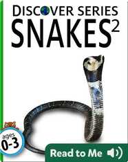 Snakes 2