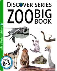 Zoo Big Book