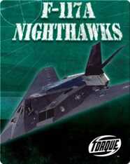 F-117A Nighthawks
