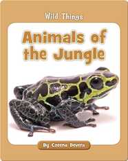 Animals of the Jungle