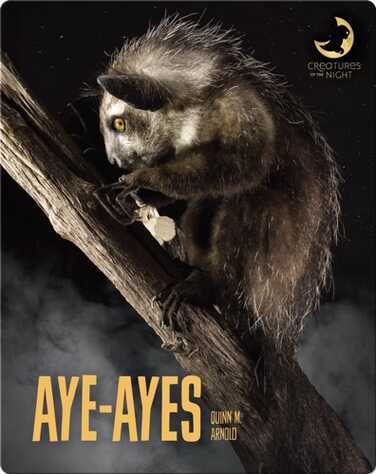 Aye-Ayes book