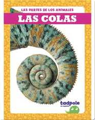 Las partes de los animales: Las colas