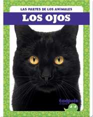 Las partes de los animales: Los Ojos