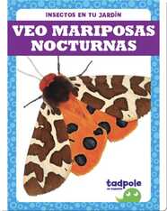 Insectos en tu jardín: Veo mariposas nocturnas