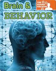 Brain & Behavior