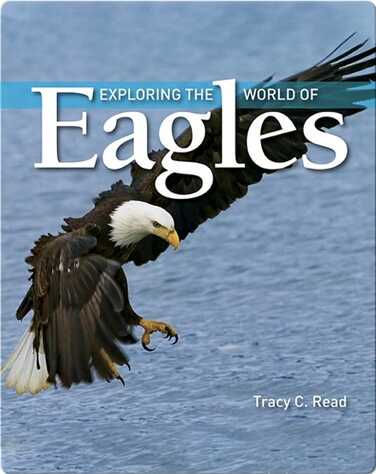 Exploring the World of Eagles book