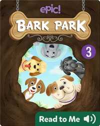 Bark Park: The Missing Bone