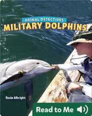 Military Dolphins