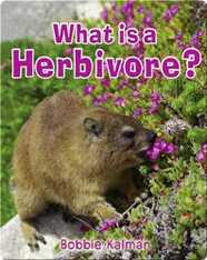 What is a Herbivore?