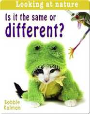 Is it the same or Different?