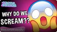 Why Do We Scream When We’re Scared? | COLOSSAL QUESTIONS