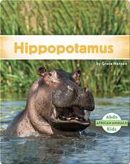 Hippopotamus