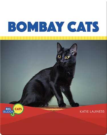 Bombay Cats book