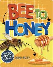Where Food Comes From: Bee to Honey