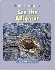 Hello, Everglades!: See the Alligator