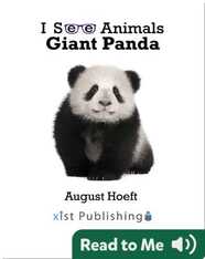 I See Animals: Giant Panda
