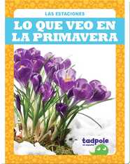 Lo que veo en la primavera (What I See in Spring)