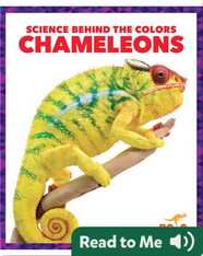 Science Behind the Colors: Chameleons
