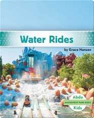 Amusement Park Rides: Water Rides