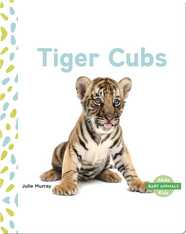Baby Animals: Tiger Clubs
