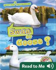Spotting Differences: Swan or Goose?