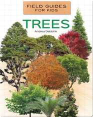 Field Guides for Kids: Trees