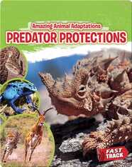 Amazing Animal Adaptations: Predator Protections
