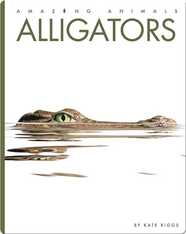 Amazing Animals: Alligators