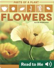 Parts of a Plant: Flowers