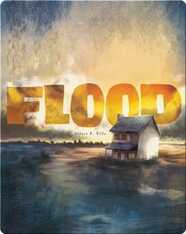 Flood