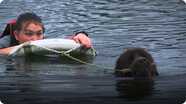 Dogs in the Water: Water Rescue Dogs