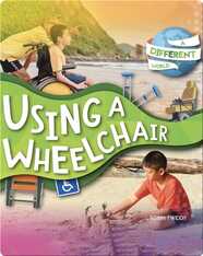 A Different World: Using a Wheelchair