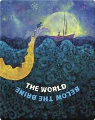 The World Below The Brine