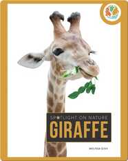Spotlight on Nature: Giraffe